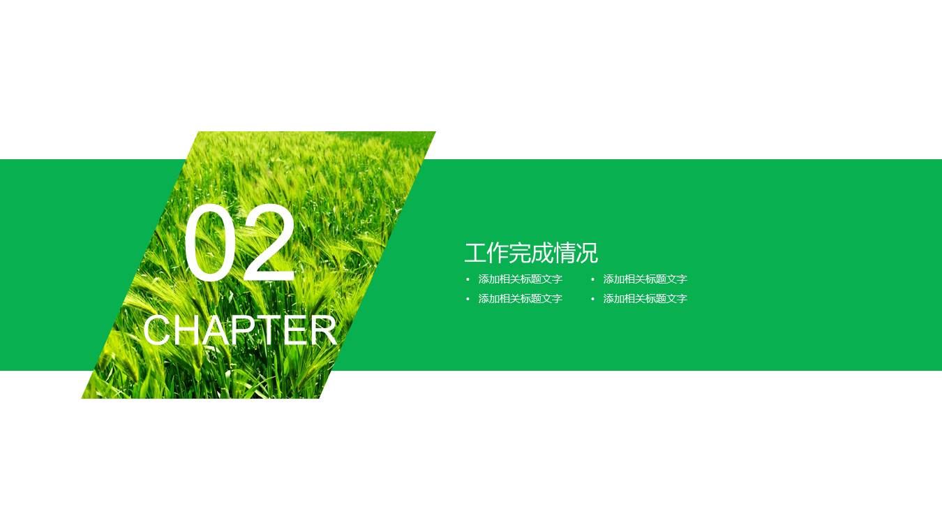 农业 (12).pptx